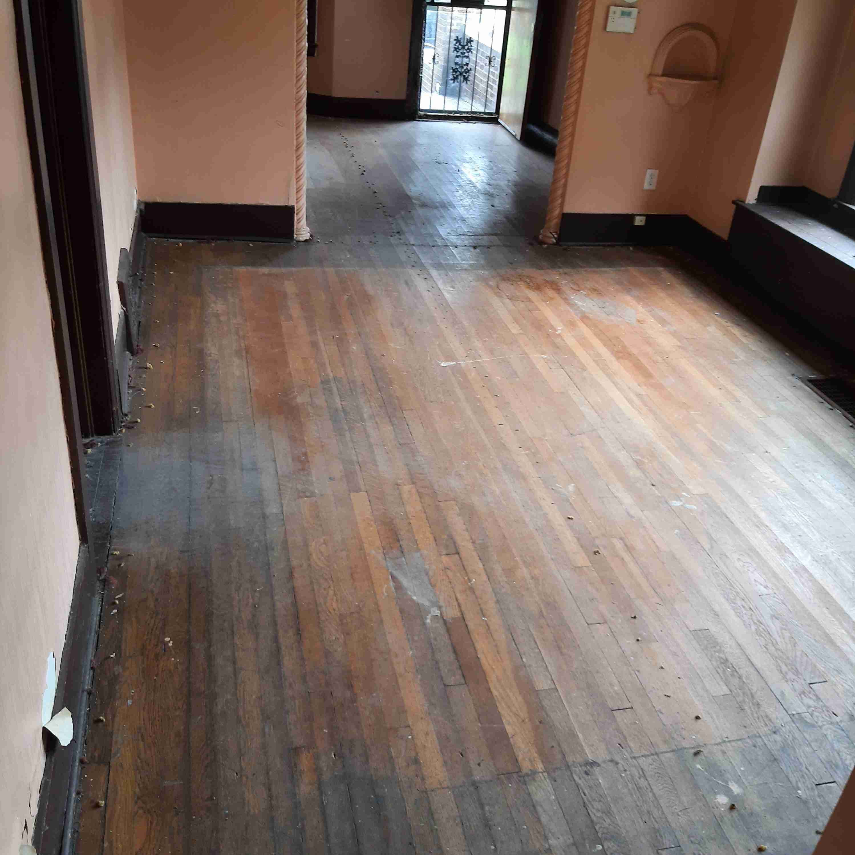 20200826_124531 (2).jpg